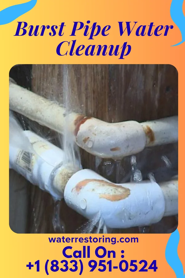 Burst Pipe Water Cleanup in Saline, MI