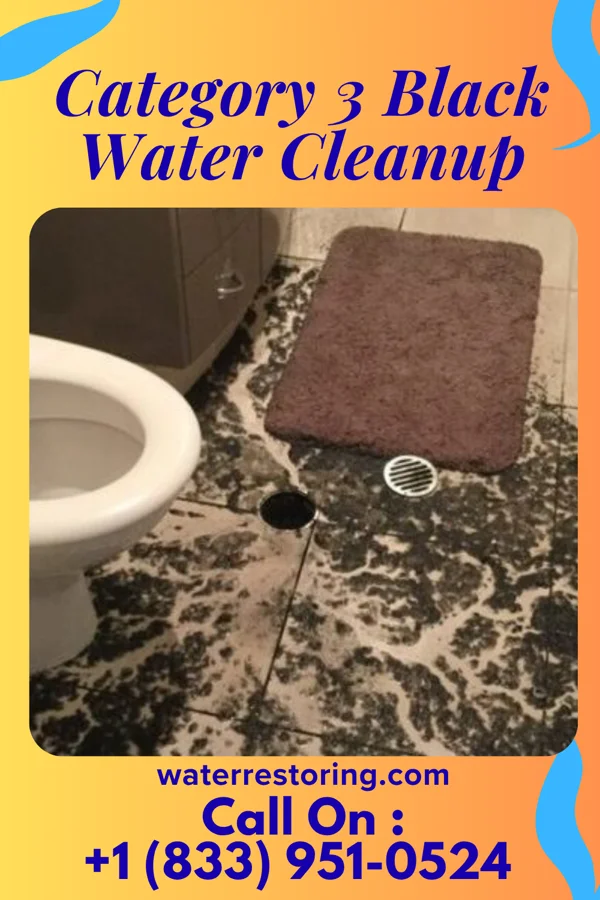 Category 3 Black Water Cleanup in Saline, MI