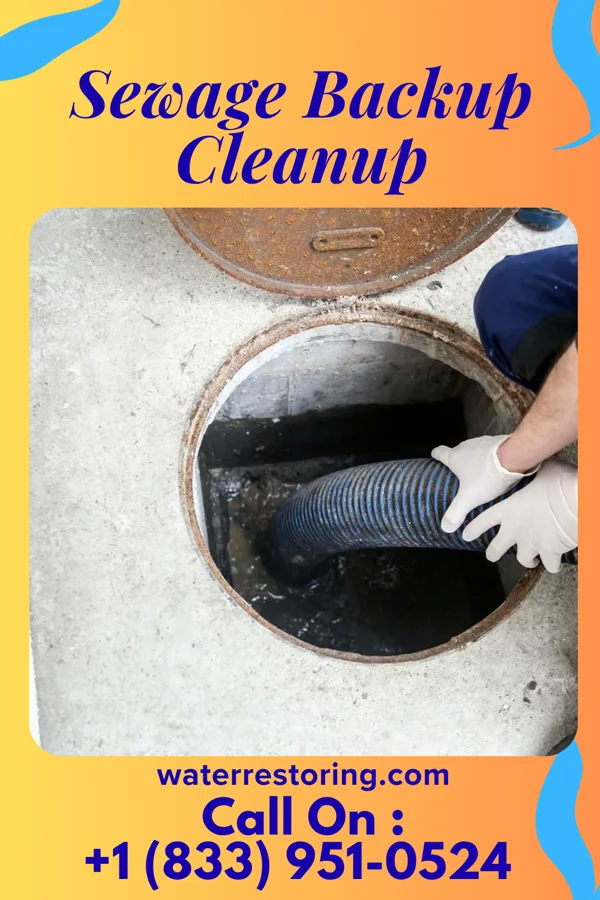 Sewage Backup Cleanup in Saline, MI