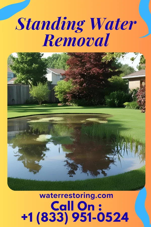 Standing Water Removal in Saline, MI